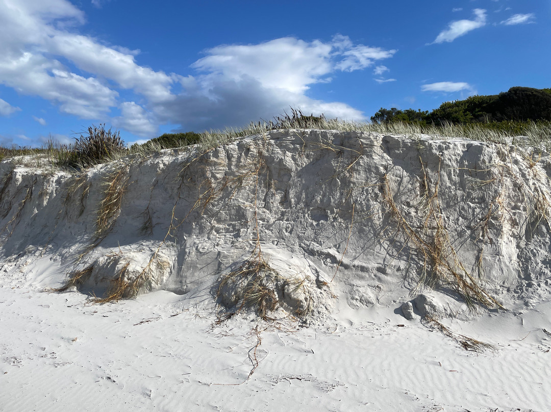 Redbill Beach-比奇诺必去景点