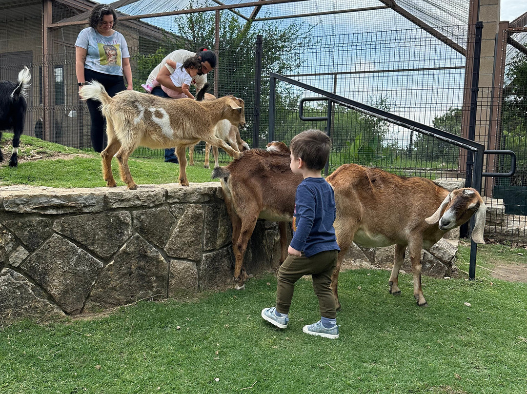 Fossil Rim Wildlife Center-Glen Rose必去景点