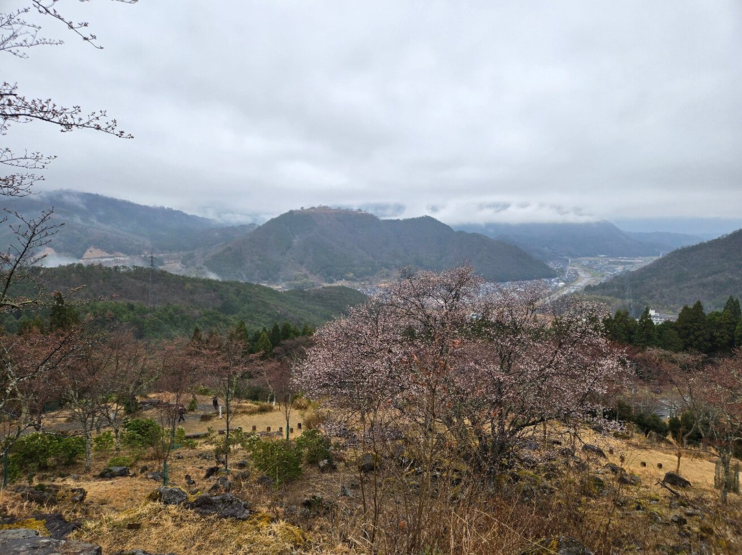 Takeda Castle Ruins景点图片