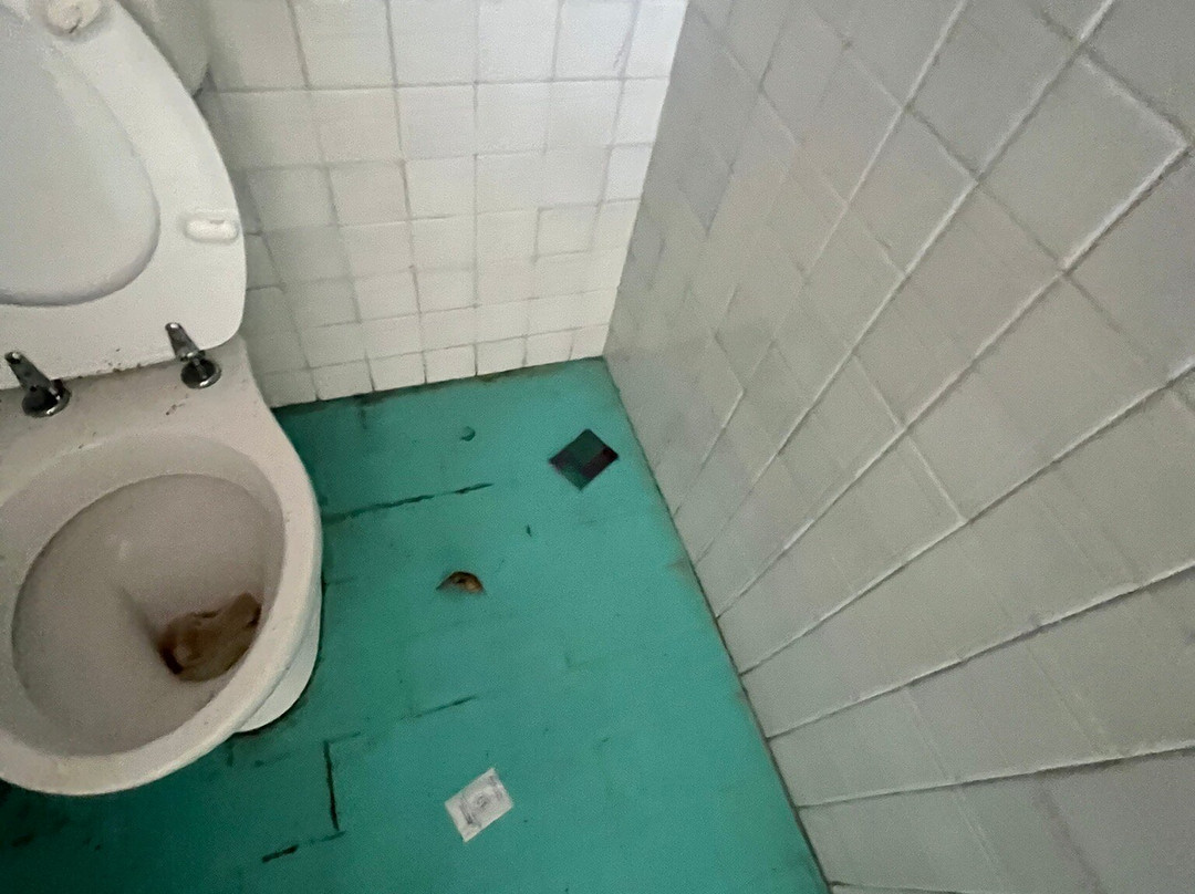 Parco Junior-利尼亚诺萨比亚多罗必去景点