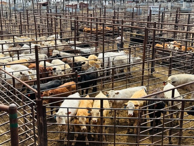 National Stockyard Exchange-俄克拉何马城必去景点