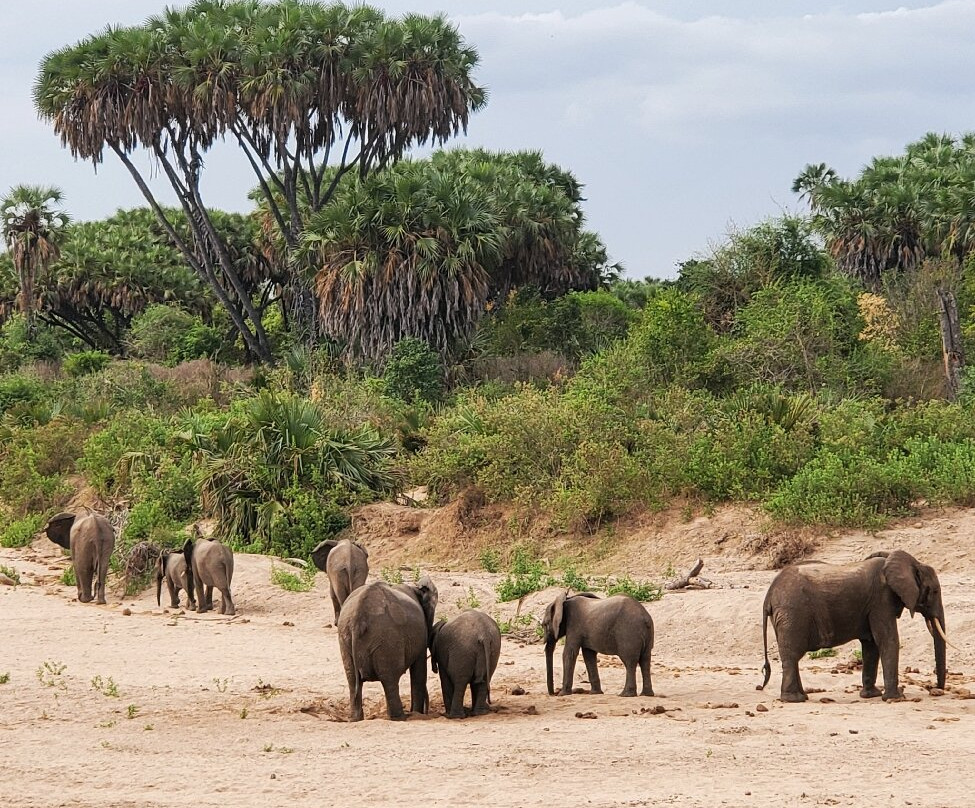 Mchaka Mchaka Tours-Mloka必去景点