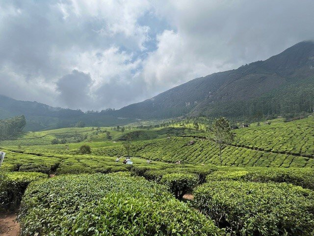 South India Tours and Travels-Tiruchirappalli必去景点