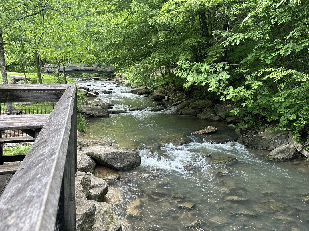 Cove Springs Park-法兰克福必去景点