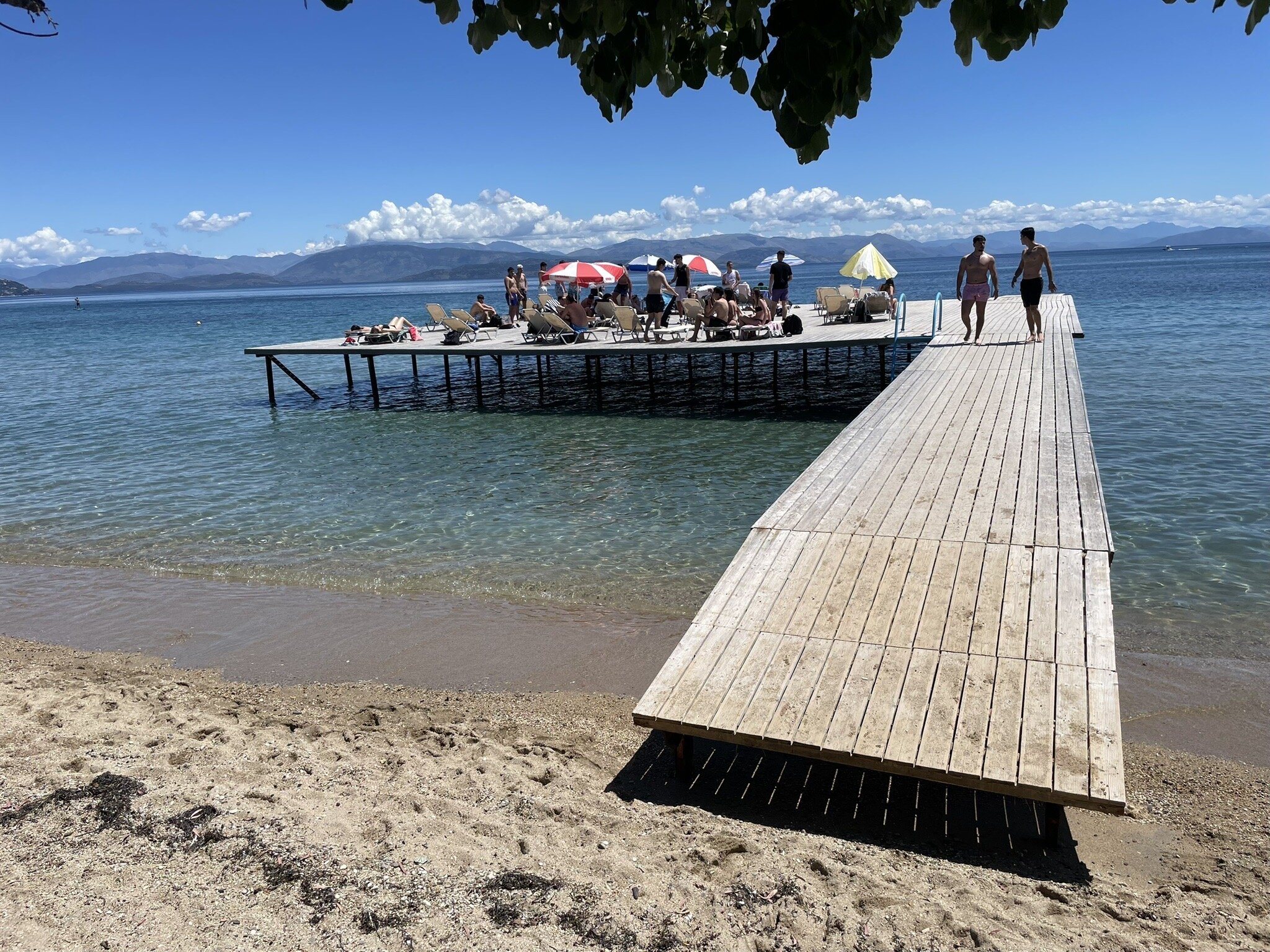 Dassia Beach-官方