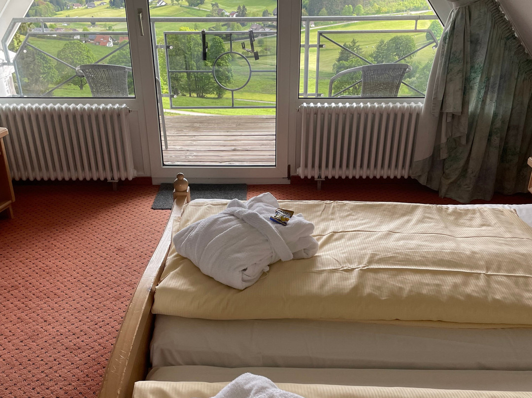 JUFA Hotel Schwarzwald主图