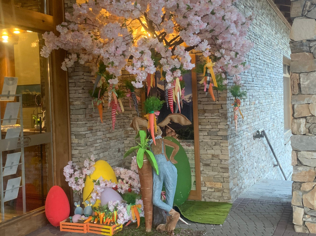 Pirin Golf Hotel & SPA主图