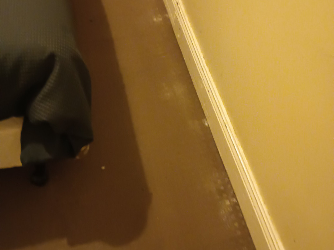 The Colliefields主图