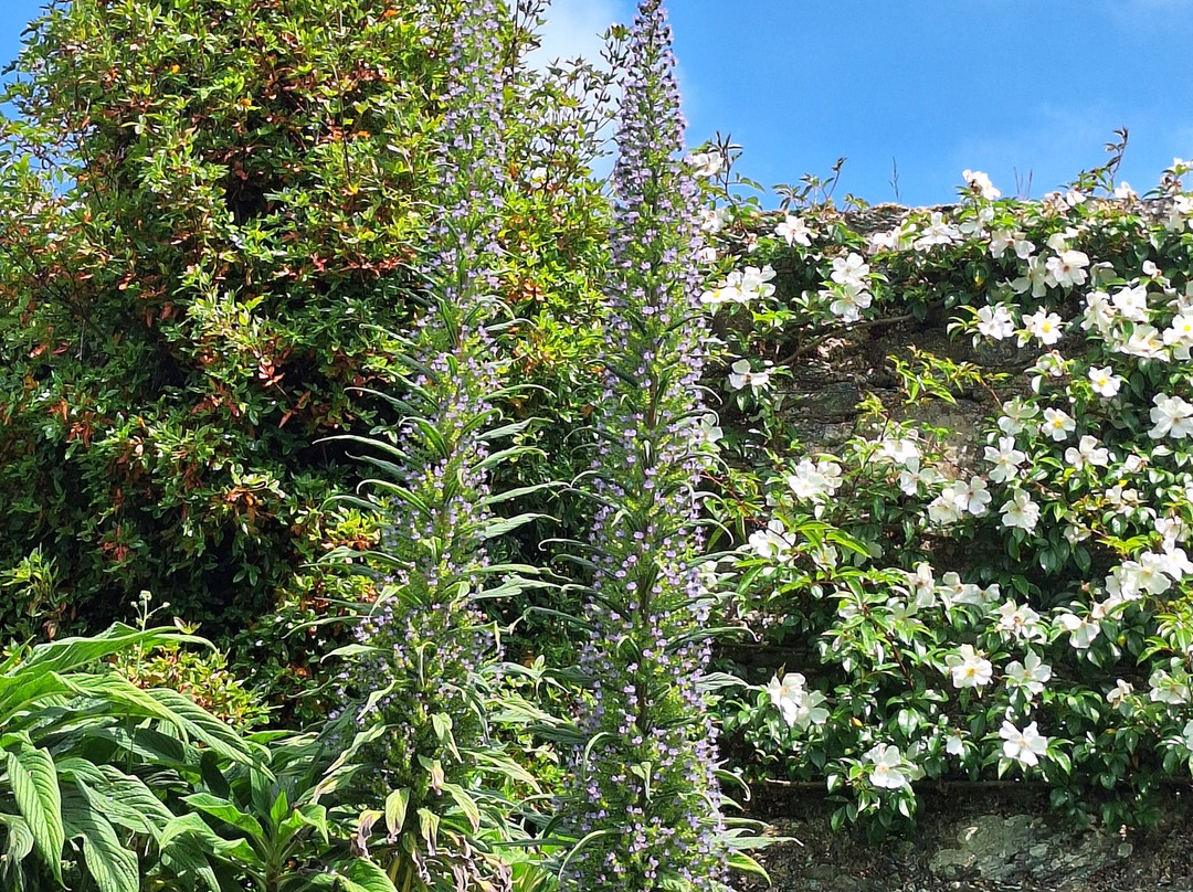 Plas Cadnant Hidden Gardens-Menai Bridge必去景点