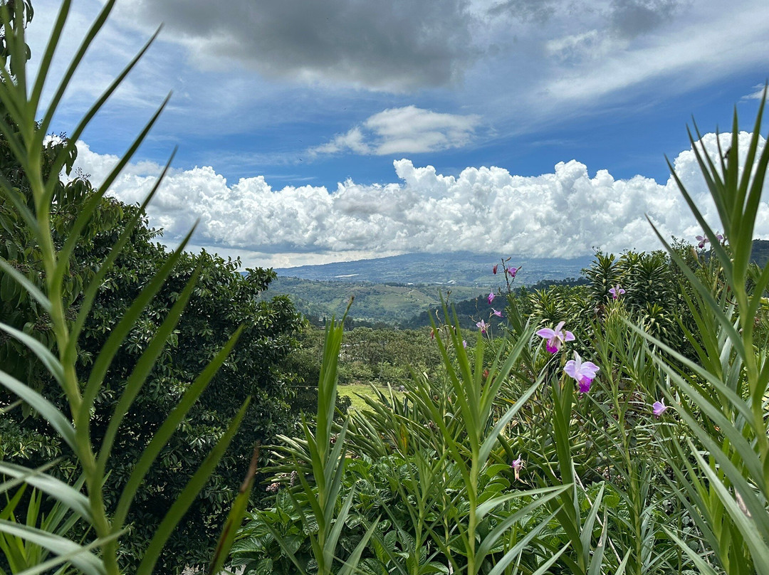 Hacienda Orosi-奥罗西必去景点