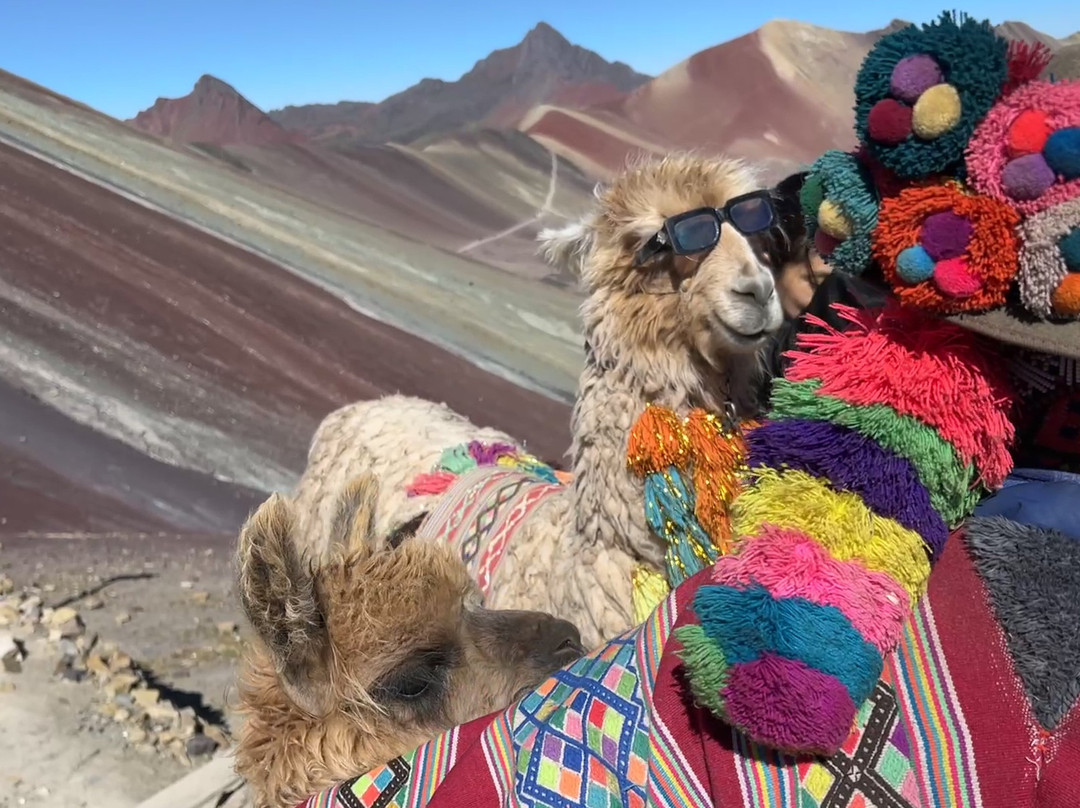 Inca Highlands-库斯科必去景点