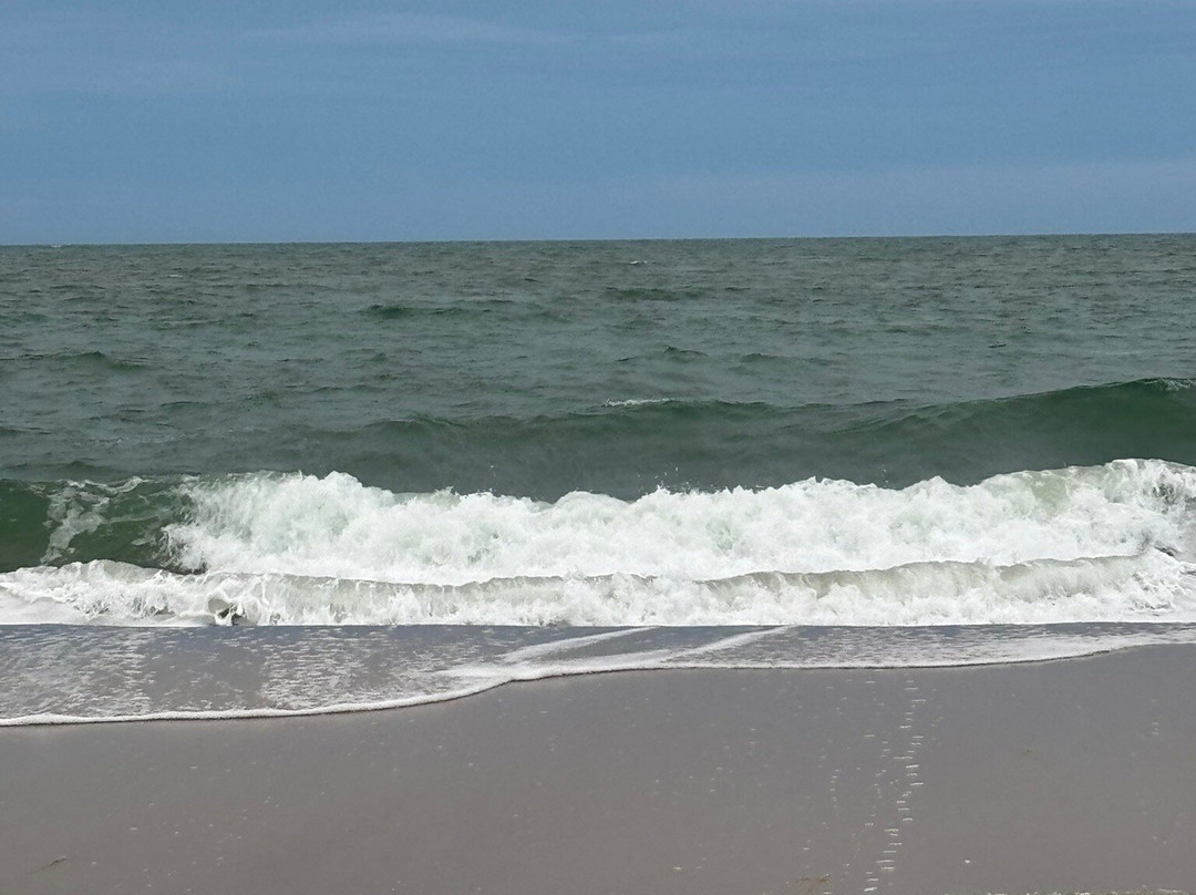 Assateague Beach-Assateague Island必去景点