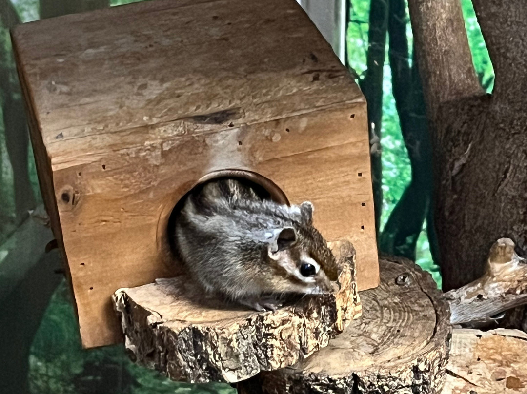 Alpaca World-洪川郡必去景点