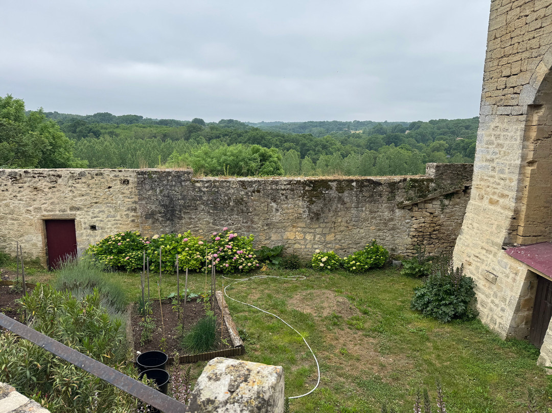 Chateau de Roquetaillade景点图片