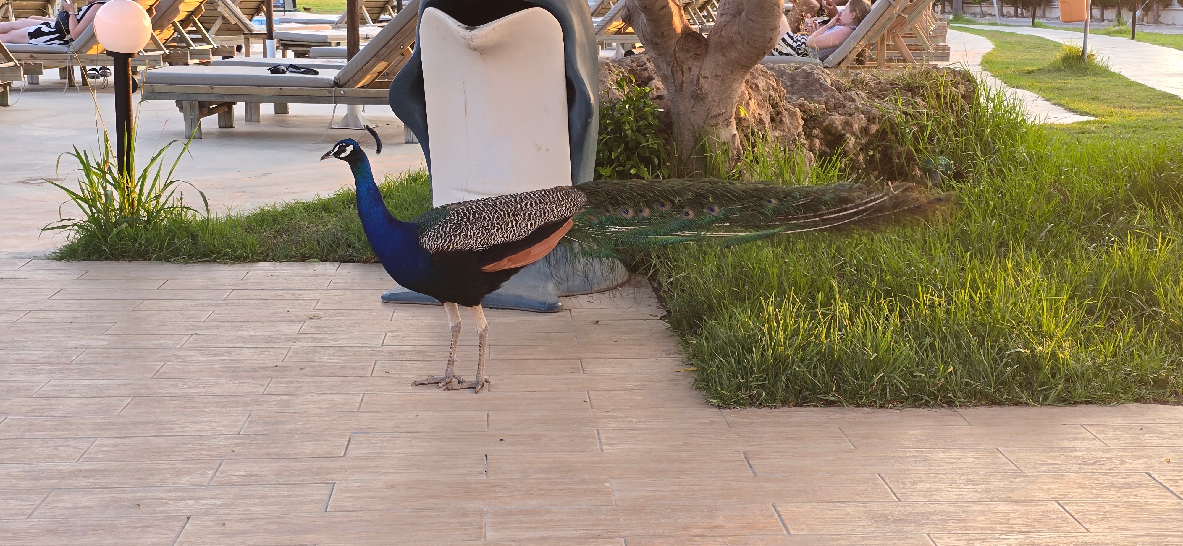 Evita Resort Hotel-浴室