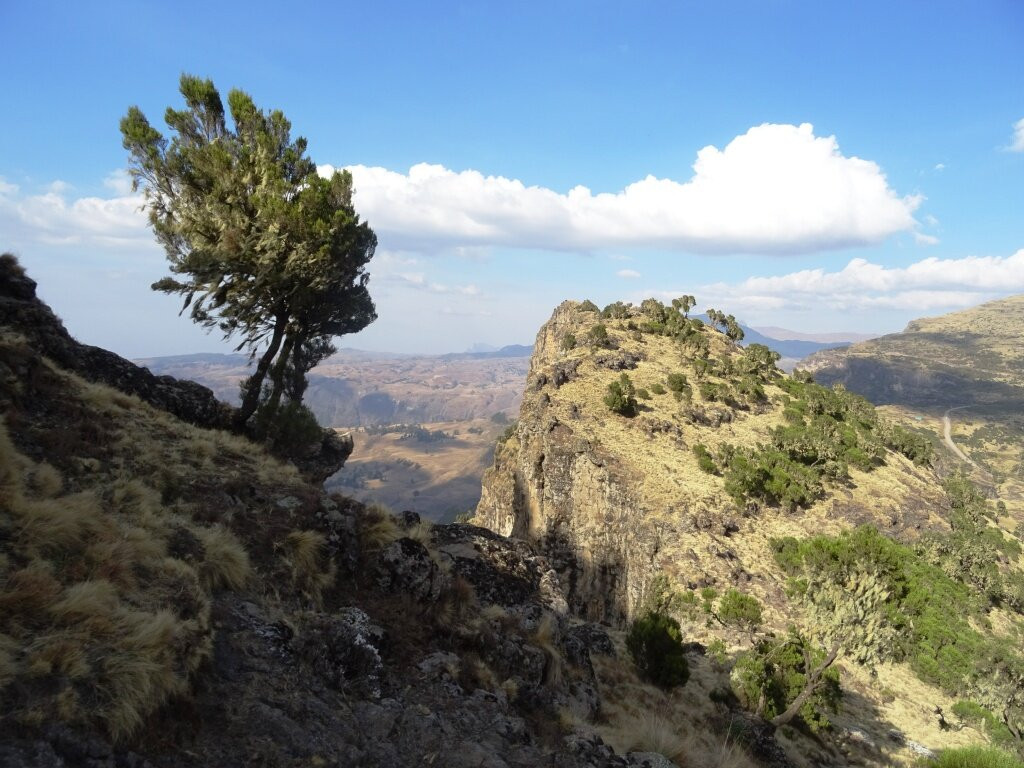 Simien Tour Guide-贡德尔必去景点