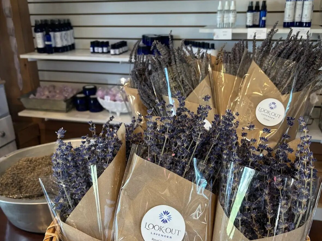 Lookout Lavender Farm-Rising Fawn必去景点