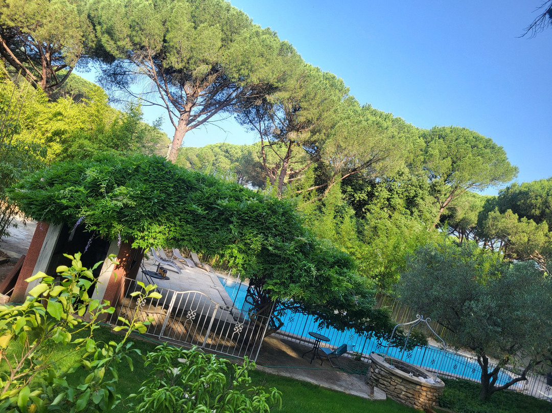 La Bastide Des Pins主图