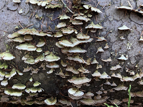 Finnish Friend-赫尔辛基必去景点