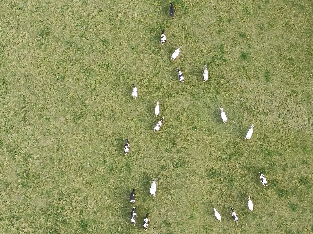 Montgolfiere.be景点图片