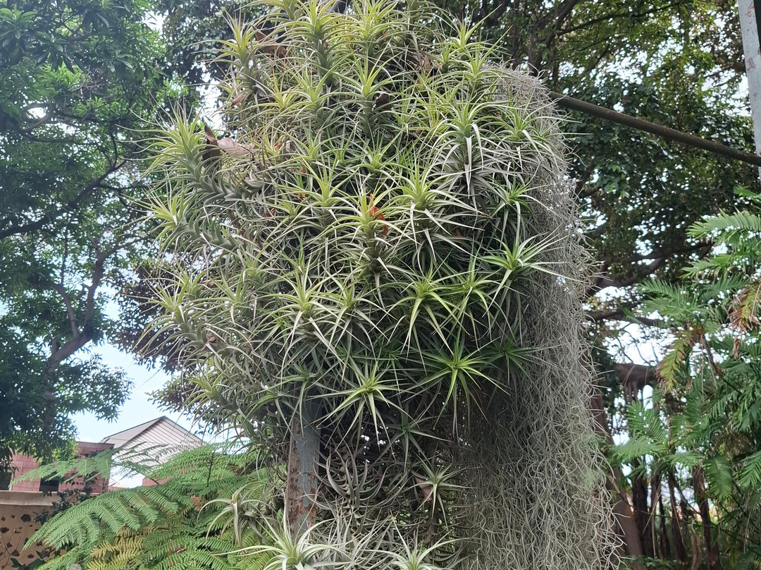 Botanischer Garten景点图片