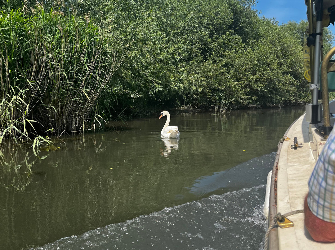 Grove Ferry River Trips-Upstreet必去景点
