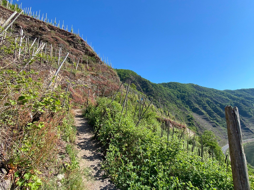 Calmont Klettersteig-Bremm必去景点