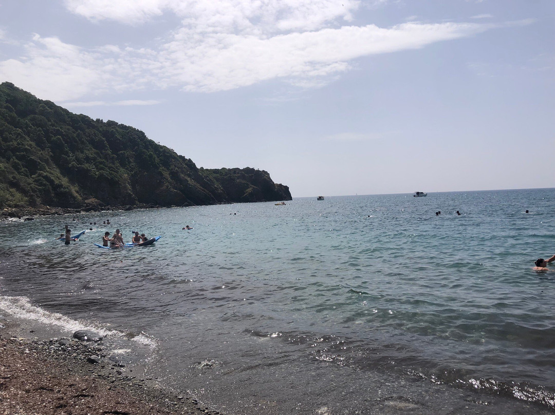 Spiaggia di Calamoresca景点图片