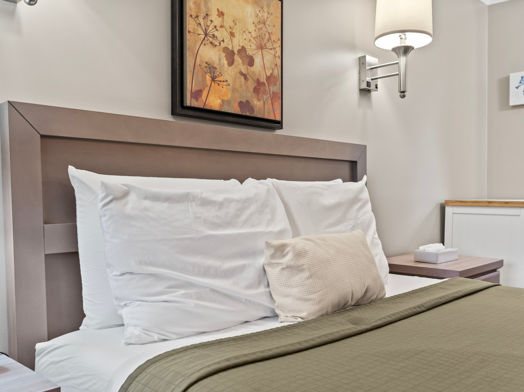 Sea Mist Resort Motel主图