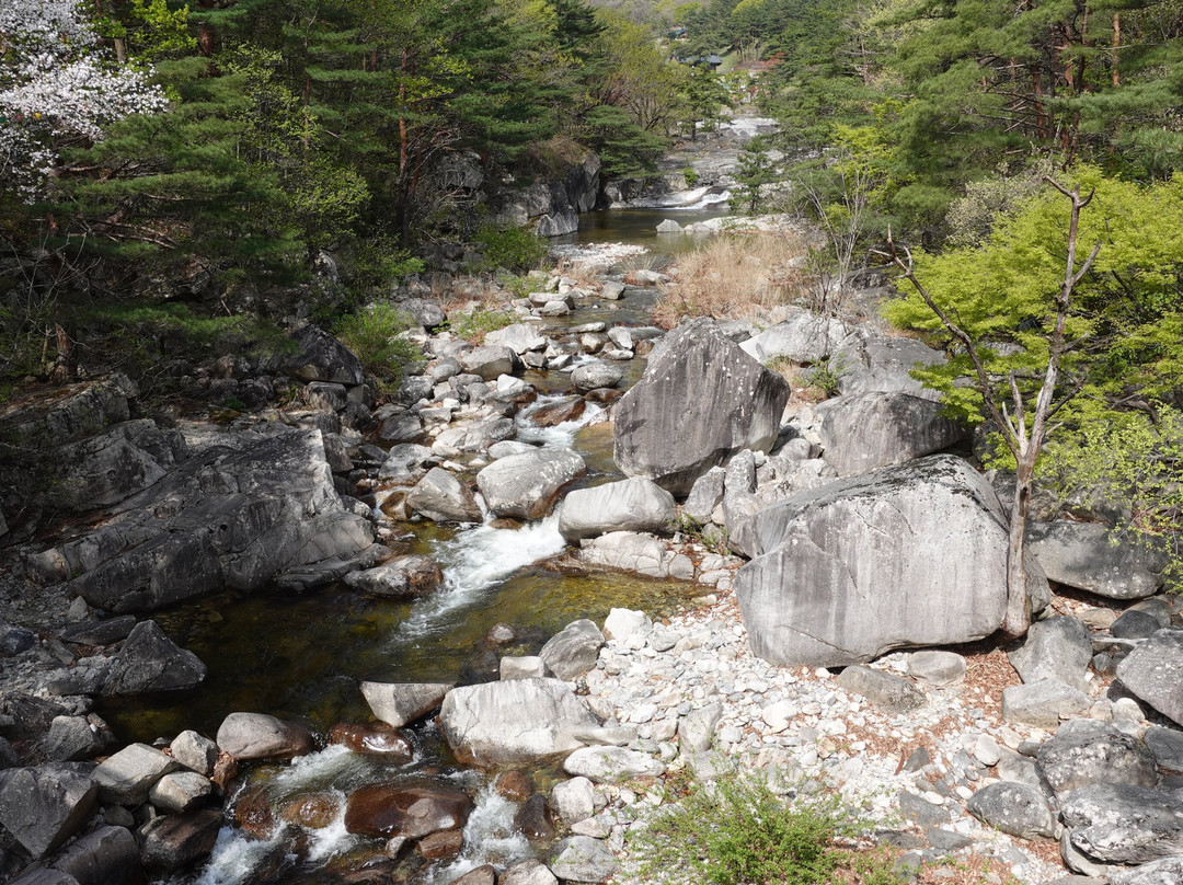 Mureung Valley-东海市必去景点