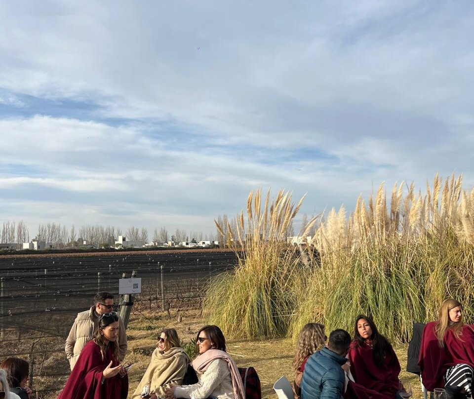 Bodega Hacienda del Plata景点图片