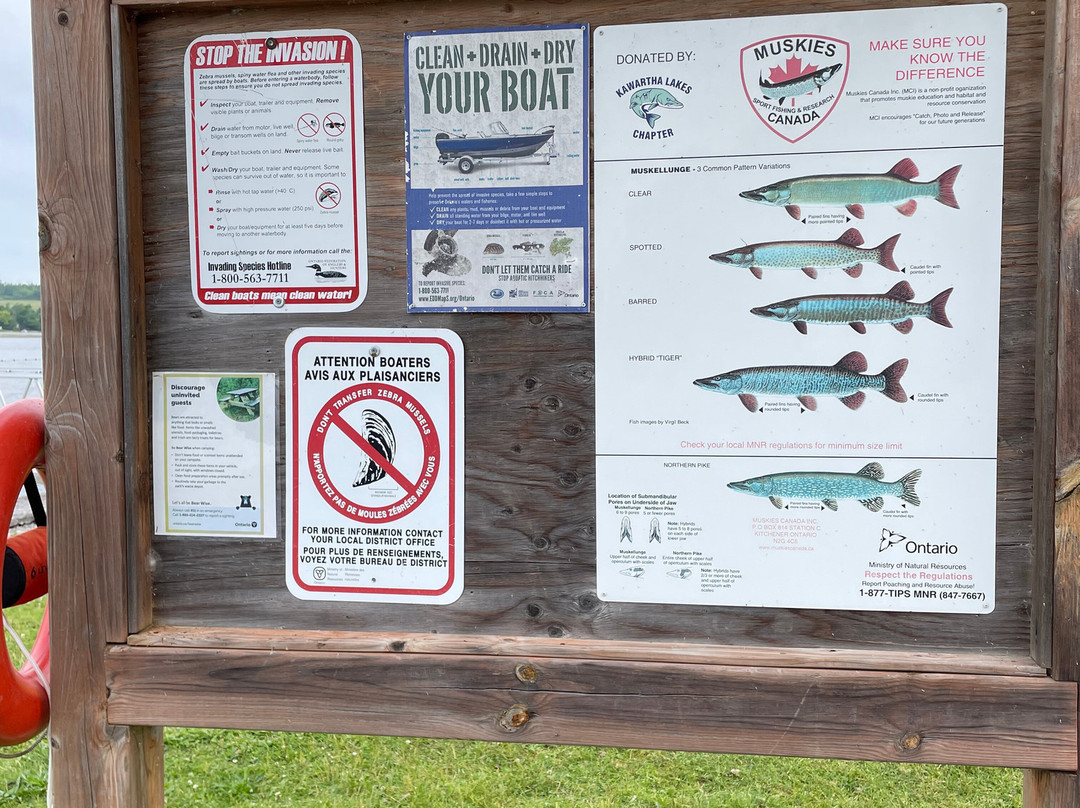 Emily Provincial Park-Kawartha Lakes必去景点