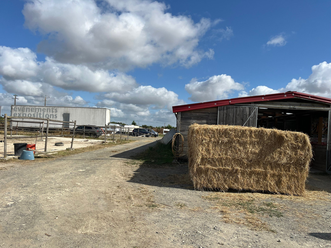 Les Légendes D'Autrefois-Saint Sauveur d'Aunis必去景点