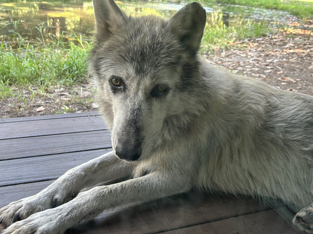 Oatland Island Wildlife Center-萨凡纳必去景点