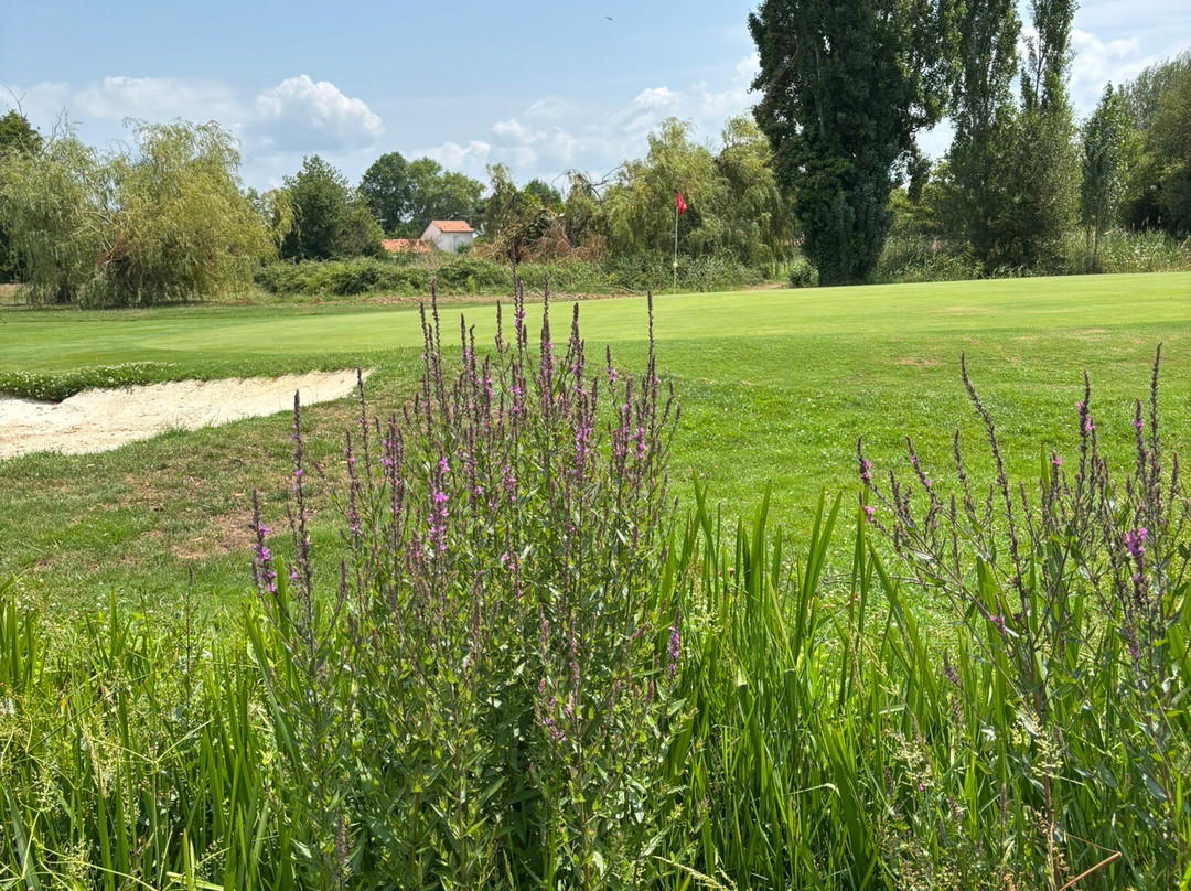 Golf International d'Arcachon-拉泰斯特德比克必去景点