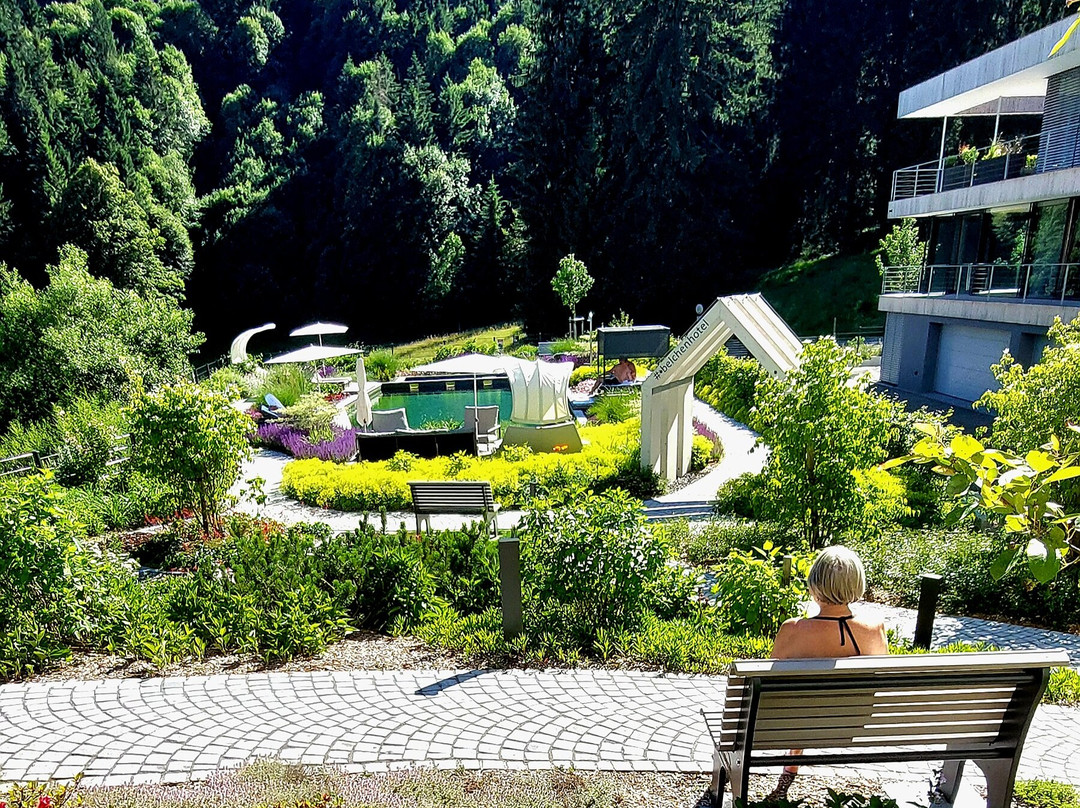 Belchenhotel Jaegerstueble主图