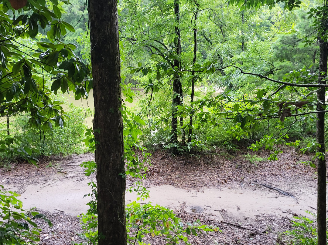 Whiskey on the River主图