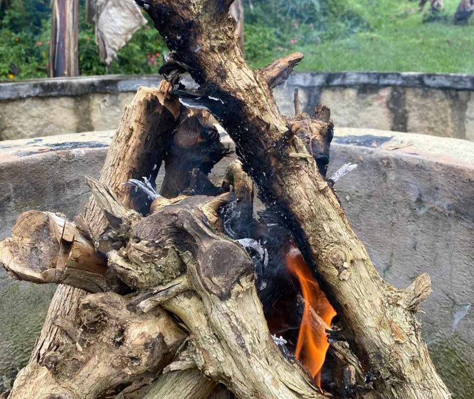 Finca Temática Cafetera Las Mercedes主图