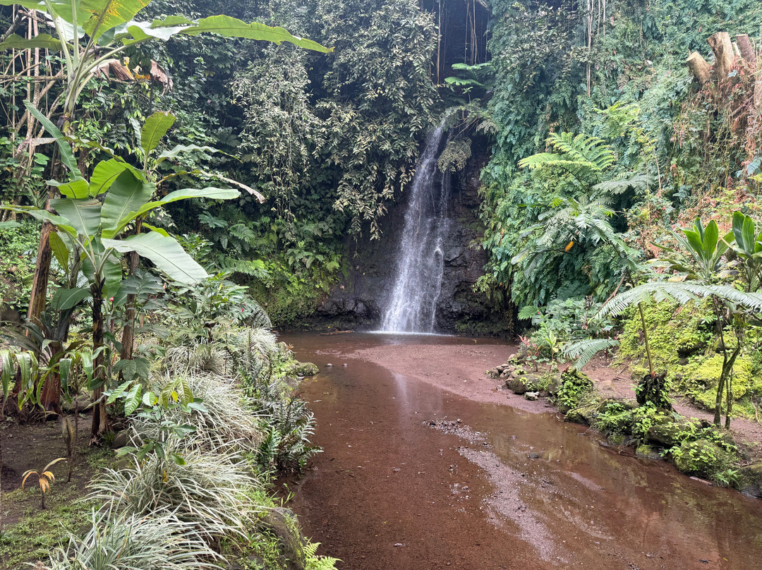 Tahiti Eden Tours-帕皮提必去景点