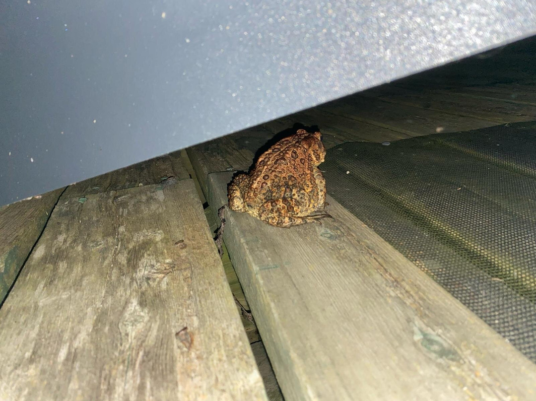 Black Creek Provincial Park-Stokes Bay必去景点