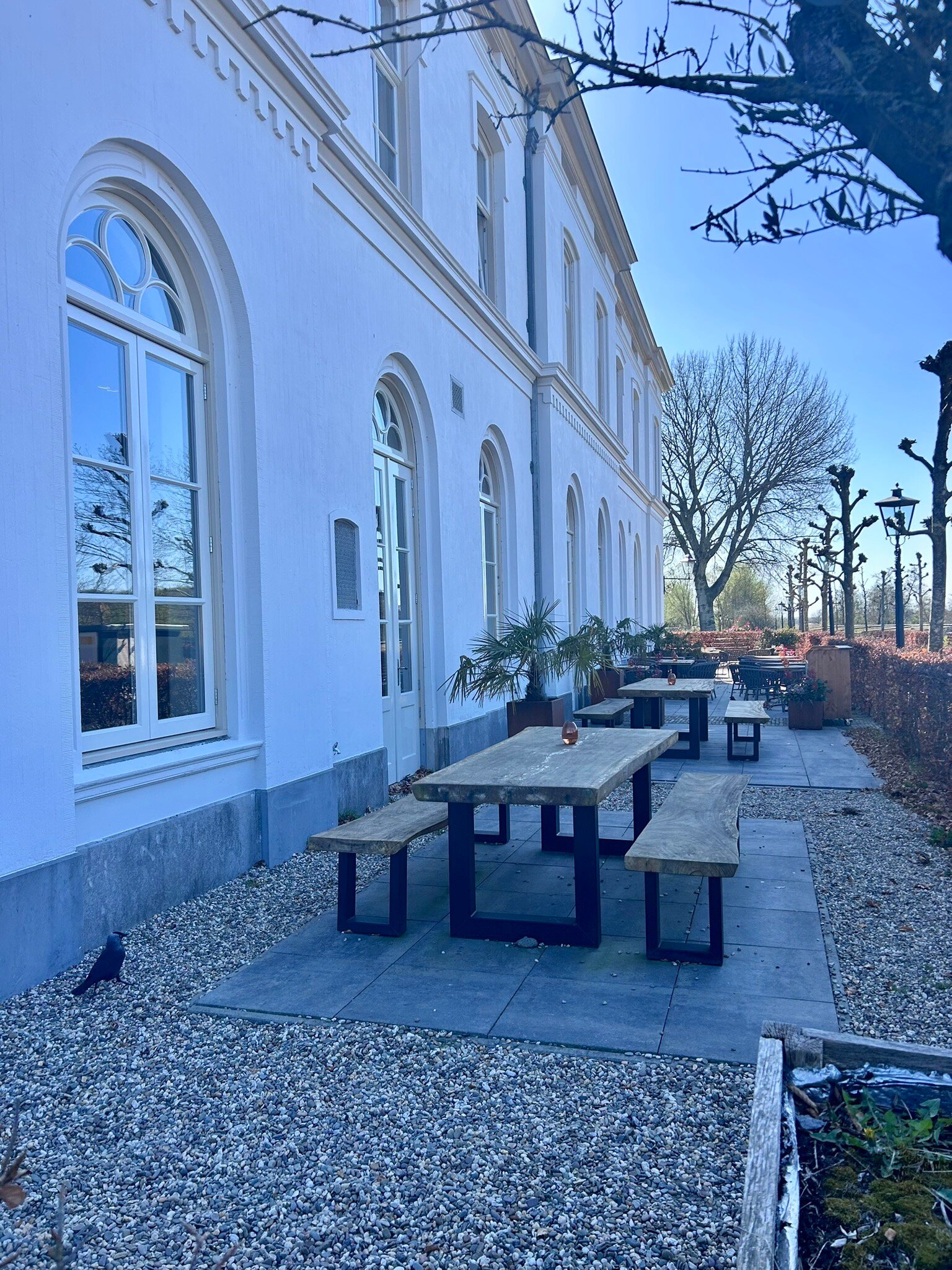 Boutique Hotel De Witte Dame-官方