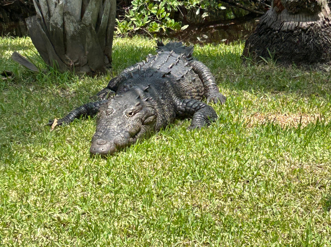 La Ventanilla-La Ventanilla必去景点