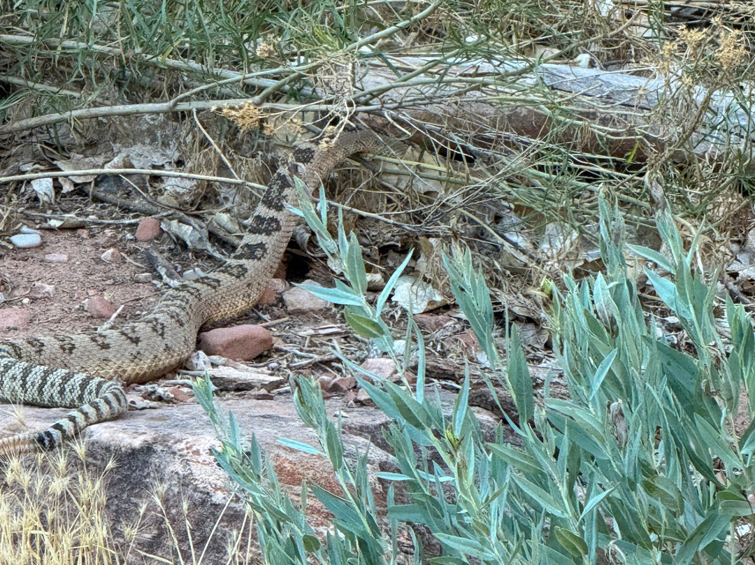 Pa'rus Trail-锡安国家公园必去景点