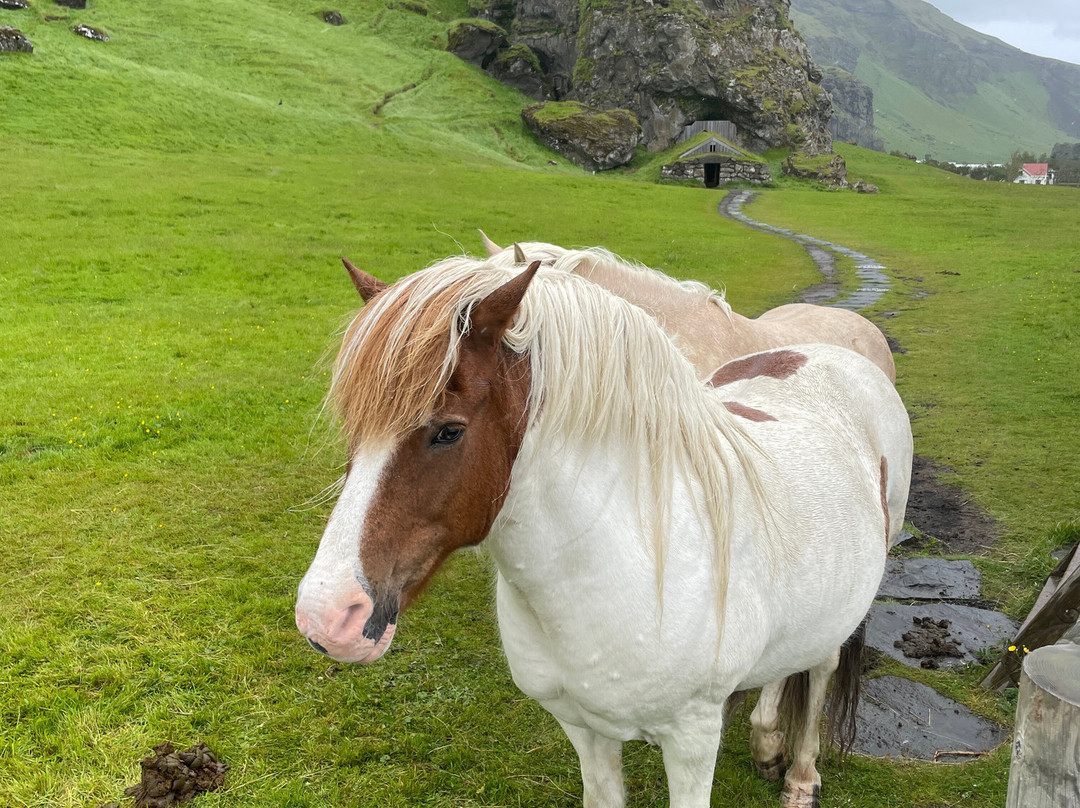 Rútshellir Cave-Skogar必去景点