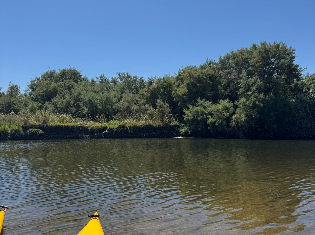 New Kayak Sardinia-Valledoria必去景点