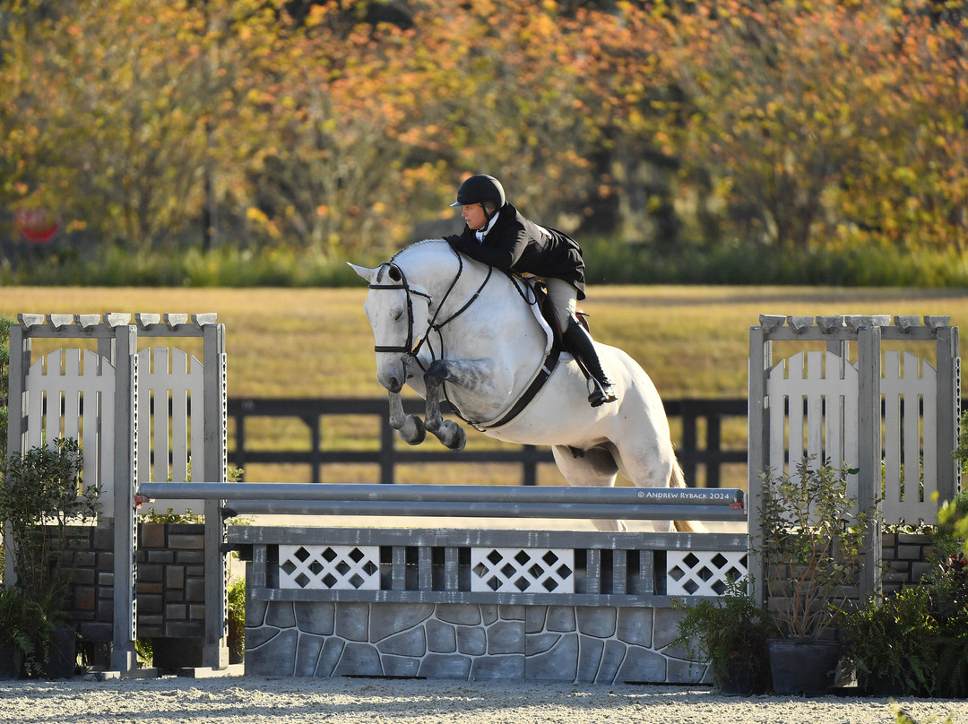 World Equestrian Center Cabins