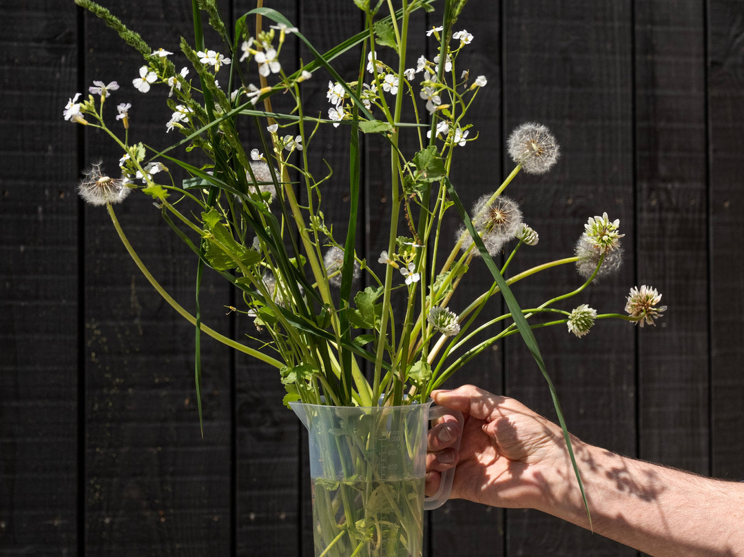 Herberg De Herten主图