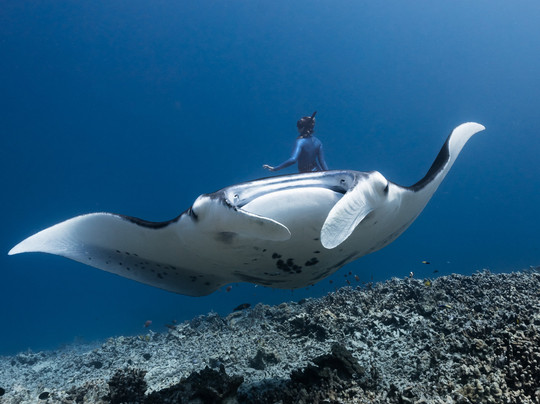 海洋生态游-凯鲁瓦-柯纳必去景点