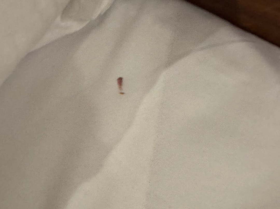 Hotel Alcazar Irun Centro Ciudad主图