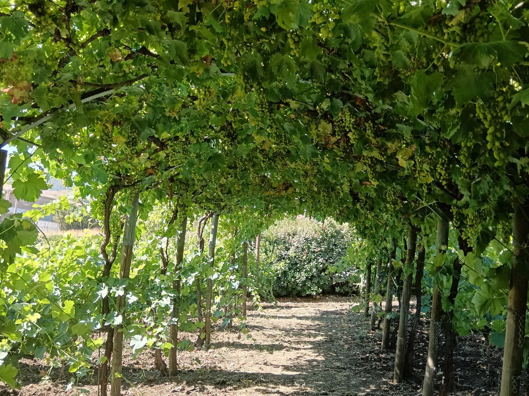 Tenuta San Giaime-Gangi必去景点